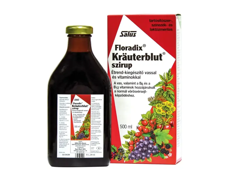 Salus floradix krauterblut szirup 500 ml